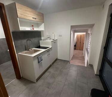 Erkenbrechtsweiler Apartamento | Einzelzimmer
