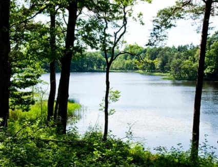 Markaryd Hotel | Ekebacken Hotell & Konferens