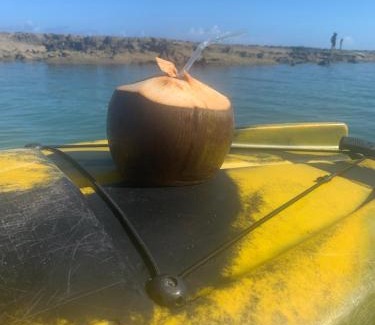Porto de Galinhas Apartamento | Ekoara Muro Alto Porto de Galinhas Pé na areia 70m2