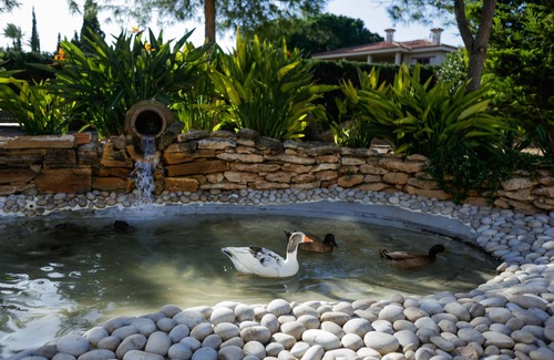 Elche Chalet De Esquí | “El Campirri”, Chalet.
