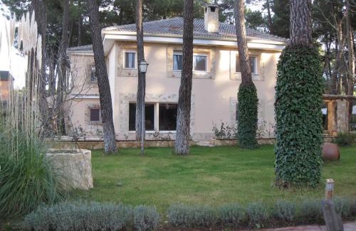 Jabaga Casa | El Chalet del Pinar