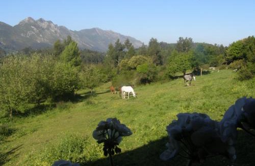 Ovio Casa | El Corral Del Acebo
