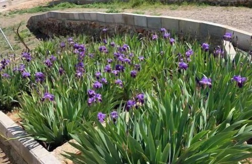Siete Aguas Casa | El cortijo
