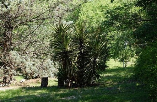 Villa Parque Siquiman Chalet De Esquí | El escondido-Casa junto al arroyo y sierras