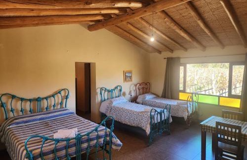 Tilcara Casa | El Hornero
