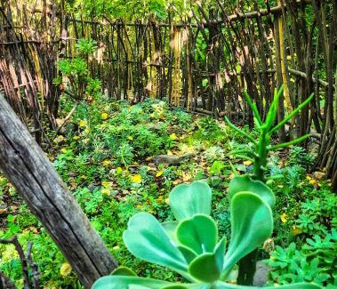 San Alfonso Cabina | El Jardin, Eco Cabañas Boutique