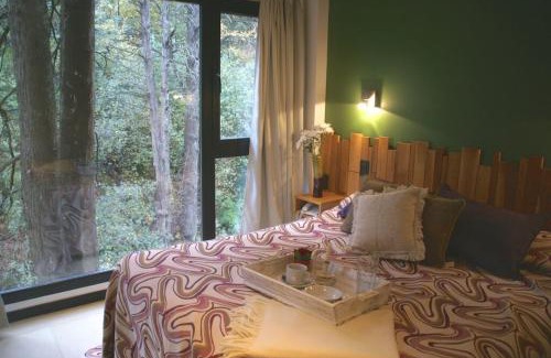 Lanin National Park Apartamento | El Oasis Apart Hotel