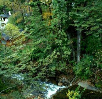 Lanin National Park Apartamento | El Oasis Apart Hotel