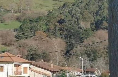 Santa Maria de Cayon Apartamento | El Pajar, rustic apt. & gardens with sheep & hens