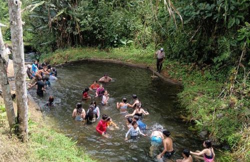 Nanegalito Complejo | El Paraíso Escondido De Los Yumbos