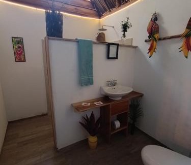 Palomino Casa | El Paraiso de Carmen