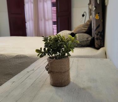 Porto Cristo Casa | El patio de Iria