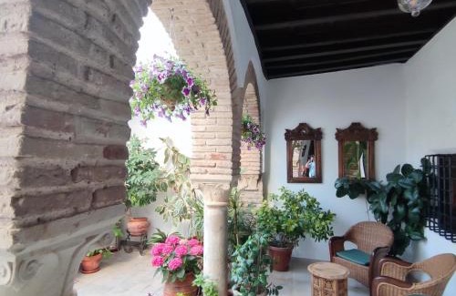 San Pedro Apartamento | El patio de Regina