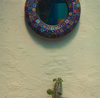 Centro Casa | El Pinche Hostal