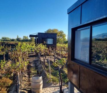 Cafayate Hotel | El Porvenir Wine Lodge