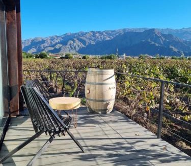 Cafayate Hotel | El Porvenir Wine Lodge