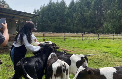 Saraguro Casa | El Prado Glamping