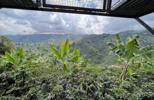 Manizales Casa | El refugio del Guayacán