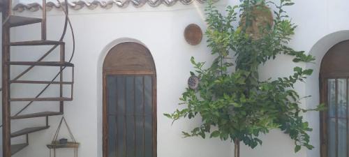 Pegalajar Casa | EL RINCON DEL ROMERAL