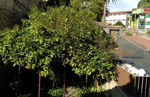 Ribadesella Apartamento | El sol