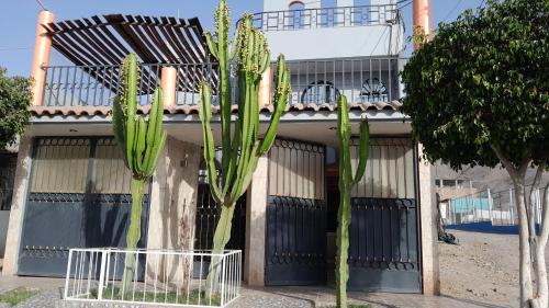 Nazca Casa | El titanic