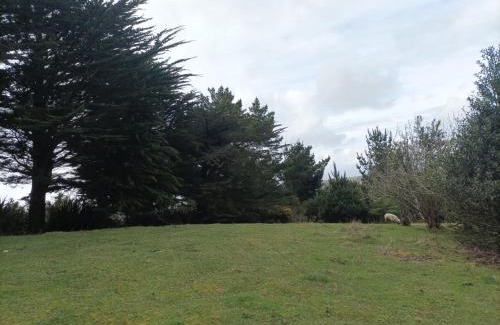 Ancud Apartamento | El Urco Chiloé - Cabaña El Caleuche