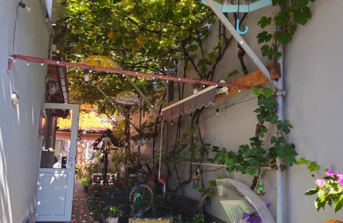 Fagaras Casa | ELDI House
