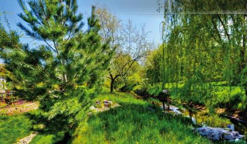 Southeast Boise Casa | Elegant Boise River Home at Bown Crossing with Hot Tub