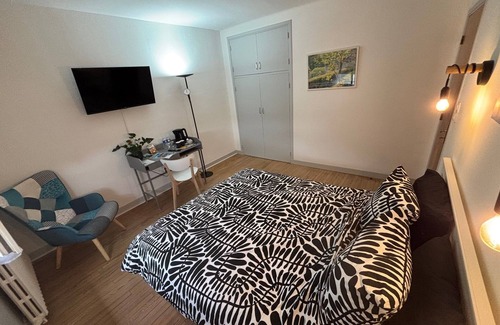 Lavelanet Cama Y Desayuno | Elegant, fully-equipped guest room facing the Ariege Pyrenees, TV and WIFI.