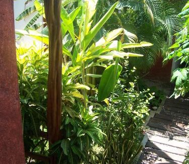 Centro - Supmza 001 Apartamento | Elements of the Island
