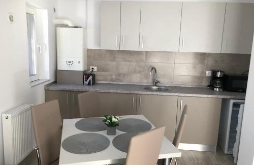 Busteni Apartamento | Elena-Maria Apartments