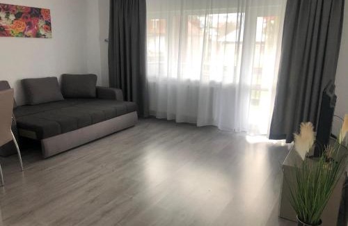 Busteni Apartamento | Elena-Maria Apartments