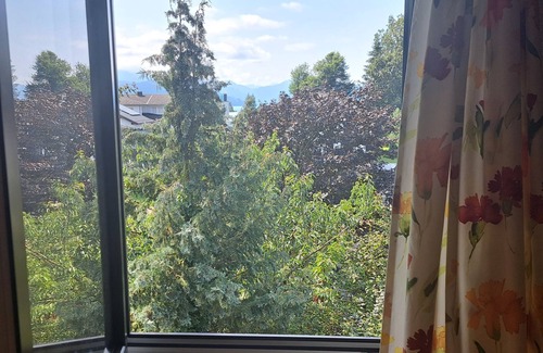 Seewalchen am Attersee Apartamento | Eleonore by Interhome