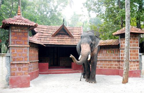 Cherthala Casa | Elephant Courtyard- A Heritage Homestay