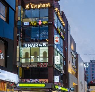 Jung-gu Apartamento | Elephant