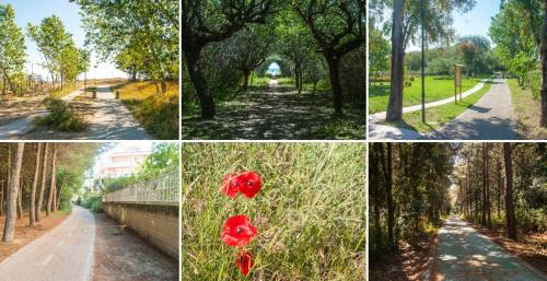 Vasto Casa | eli 's home
