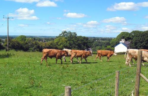 Dinas Casa | Elidir Cottage