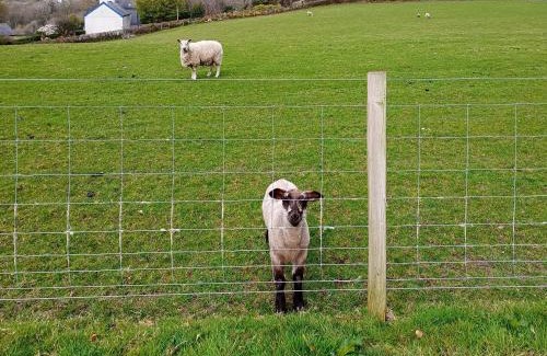 Dinas Casa | Elidir Cottage