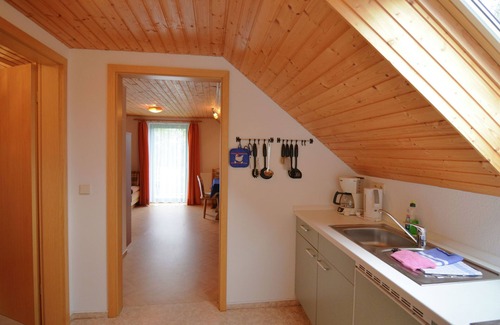 Schona Casa | Apartamento élite en Reinhardtsdorf-Schona con terraza