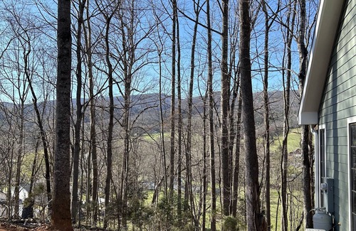 Elizabethton Cabina | Elizabethton cabin in the woods for R&R