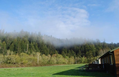 Orick Casa | Elk Meadow Cabins 11B Roosevelt Elk - Single Room