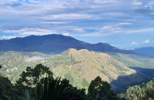 Ella Casa | Ella Golden view guest