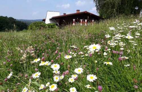 Stadtprozelten Casa | Ellernhof im Spessart