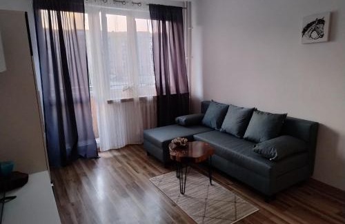 Pierwoszyno Apartamento | Elli apartament