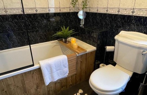 Bangor Casa | Elmwood House