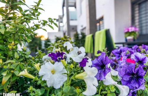 Los Altos Apartamento | ELuxuria Sunny Villa