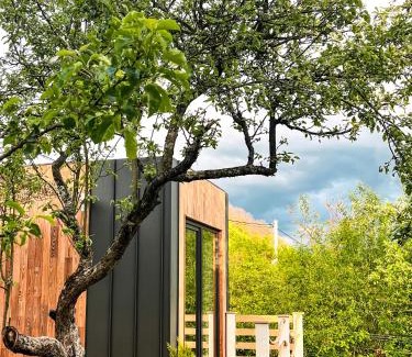 Sadu Cama Y Desayuno | Elysian Fields - Tiny House 'Evergreen'
