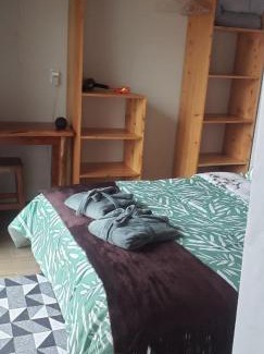 Costas Casa | Elysium Araucária Tiny house