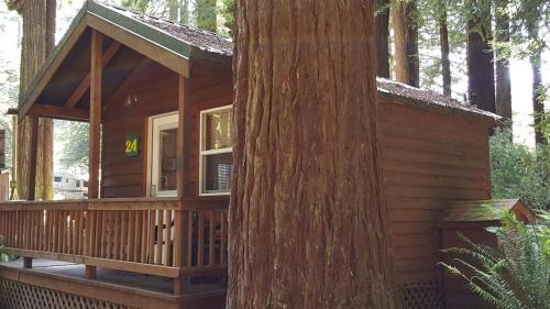 Trinidad Cabina | Emerald Forest Cabins