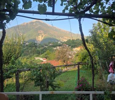 Gjirokaster Apartamento | Emily Cottage house in Gjirokaster